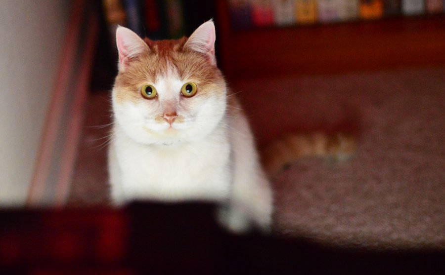 Looking through your Soul