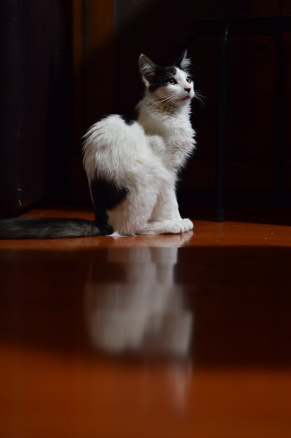 Looking through your Soul