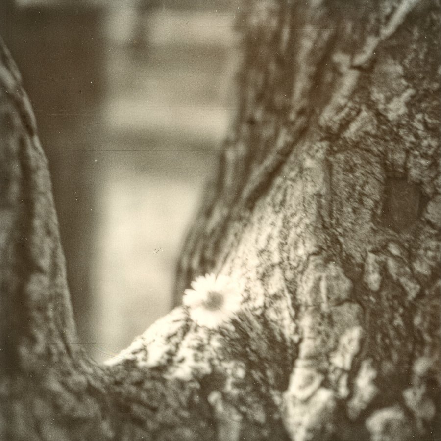 20220409-Polaroid_466